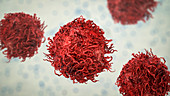 Stomach cancer cell, illustration