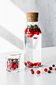 Infused water with cranberry and purple basil
