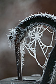 Gefrorenes Spinnennetz im Griff einer Schwengelpumpe