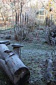 Frosty late-autumn garden with greenhouse