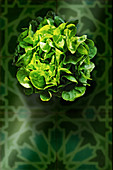 Green lettuce (seen from above)