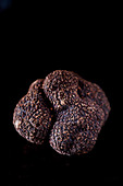 A black truffle
