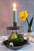 Fuzzy chick decoration and moss in glass base of candlestick