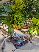 Various garden herbs in a wicker basket