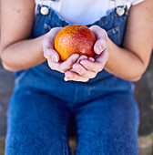 Girl holding a blood orange