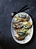 Sardines with baby fennel and breadcrumbs