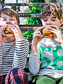 Boys eating Swedish meatball burgers