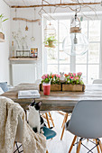 Cat sitting on chair in dining room with accessories made from natural materials