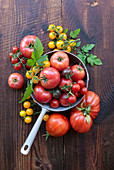 Still life with different types of tomatoes