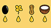 A symbolic image of different types of oil