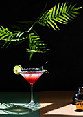Tropical Margarita Cocktail with Grenadine placed on glittery table with plant leaves on black background