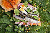 Traditional harvest sandwich half opened with sardines, meat and different vegetables on top of a grapevine leaf