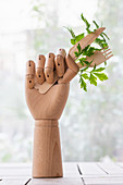 Creative mannequin hand with disposable fork and knife garnished with sprig of green parsley placed on table in garden