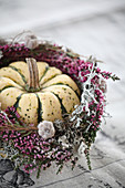 'Sweet Dumpling' squash in wreath of heather and silver ragwort