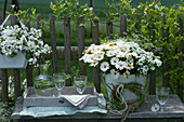 Willkommens-Arrangement mit Schneeflockenblume, Kapkörbchen, Verbene, Zauberschnee, Graskranz, Karaffe und Gläser auf Bank am Zaun