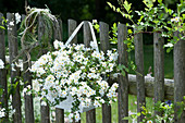 Schneeflockenblume und Graskranz als Willkommen am Zaun