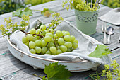 Weintrauben auf weißer Schale, mit Frauenmantel dekoriert