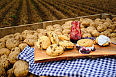 Fruit scones with blackberry apple jam and coconut cream