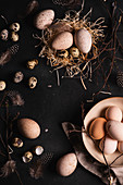 Easter composition with eggs