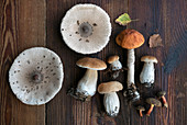 Still life with fresh boletus mushrooms on a wooden background