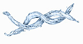 Helix-shaped water splash against a white background