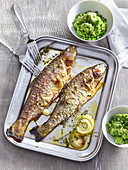 Herb trout with pea mash