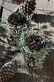 Ornamental cabbage wrapped in silver ragwort with Christmas decorations