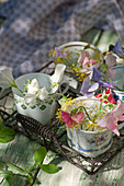 Sweet peas and dill flowers in small cups