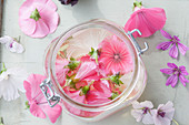 Homemade mallow toner with rose mallow, marshmallow and common mallow flowers