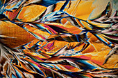 Anti-inflammatory drug, polarised light micrograph