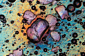 Sucrose, polarised light micrograph