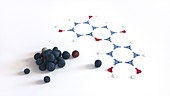 Cyanidin pigment, molecular model