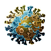 Covid-19 pandemic, conceptual illustration