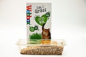 Cat grass kit