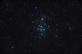 Beehive Star Cluster