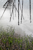 Center pivot Irrigation