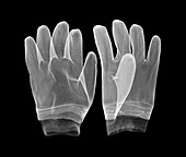 Pair of rubber work gloves, X-ray