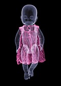 Doll with dress, X-ray