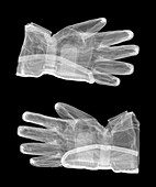 Motorcycle gloves, X-ray