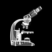 Microscope, X-ray