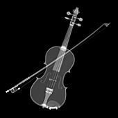 Violin and bow, X-ray