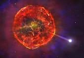Supernova Ejecting a White Dwarf