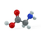 Glycine molecule, illustration