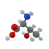 Threonine molecule, illustration
