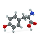 Tyrosine molecule, illustration