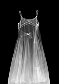 Dress, X-ray