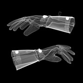 Motorcycle gauntlet gloves, X-ray
