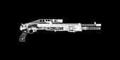 Spas12 combat shotgun, X-ray