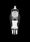 Valve bulb, X-ray