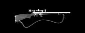 Anschutz hunting rifle, X-ray